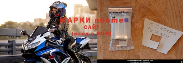 ПСИЛОЦИБИНОВЫЕ ГРИБЫ Осинники