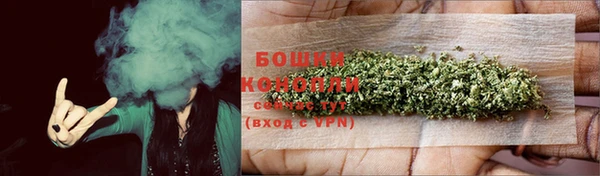 ПСИЛОЦИБИНОВЫЕ ГРИБЫ Осинники