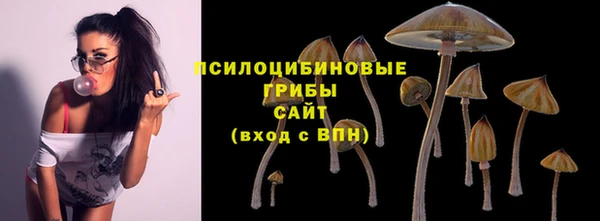 СК Остров