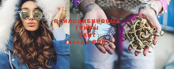 круглые Осташков
