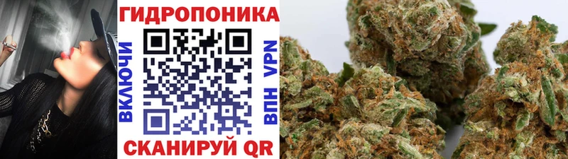 купить наркоту  Полтавская  МЕГА зеркало  МАРИХУАНА гибрид 
